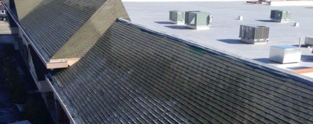 Commercial Roof Cleaning