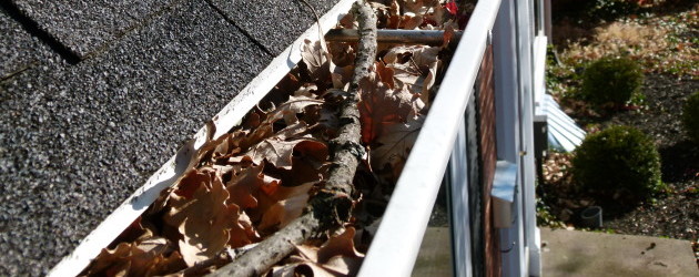 Gutter Cleaning