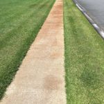 Concrete Driveway Cleaning Statesboro GA
