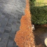 gutter cleaning statesboro ga