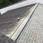 Roof Cleaning Statesboro GA