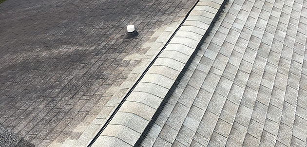 Roof Cleaning Richmond Hill GA
